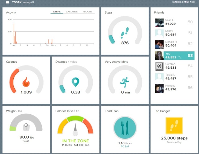 The FitBit Dashboard